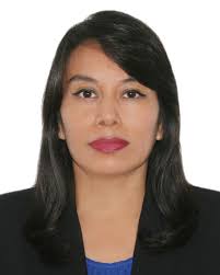 Directorio de Recursos Humanos afines a la CTI