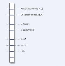 Schnellstmöglich, bei raumtemperatur oder gekühlt (coolpacks); Genotype Mrsa Schnelle Identifizierung Von Mrsa Aus Kultur