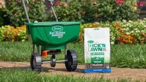 Doing anything too drastic on your lawn, such as cutting your grass, will disrupt this process. The How Why And When To Overseed Your Lawn