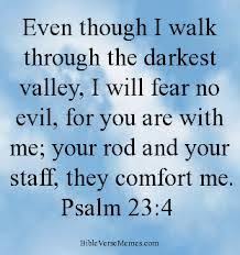 bible verse strength - | The Book of Psalms | Pinterest | Bible ... via Relatably.com