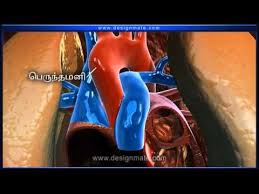 Tamil Heart Youtube