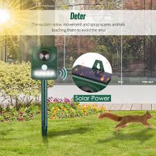 Big box stores such as home depot and lowes carry them, and you'll find many on amazon as well. Solar Ultrasonic Pest Repeller Outdoor Animal Repeller With Ultrasonic Sound Motion Sensor And Flas Buy At A Low Prices On Joom E Commerce Platform