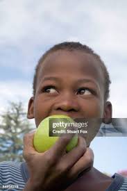 183 Fox Diet Stock Photos, High-Res Pictures, and Images