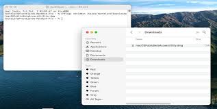 3 Ways To Show All Hidden Files On Macos Big Sur Big Sur How To Find Out Big