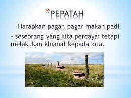 Walaupun pendapat yang mengatakan peribahasa 'harapkan pegar, pegar makan padi' adalah betul tetapi tidak ada satu dapatan yang mengesahkannya. Ktemoc Konsiders Harapkan Pagar Pagar Makan Padi