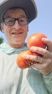 Tomatoes ripening 3 weeks early in zone 6b, Missouri