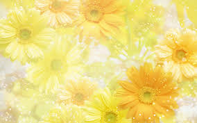 What kind of art is yellow and black? Yellow Flower High Resolution Wallpaper Flowers Wallpaper Better