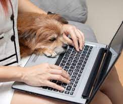 Pawp pet care: BusinessHAB.com