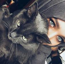 Cat Cat Dp For Girls Lush dp's and awesome pics. cat blogger