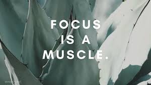 Another cool motivational quote is this one about happiness. Tumblr Studyblr Quotes Studyblr Quotes Tumblr Posts Tumbral Com Dogtrainingobedienceschool Com