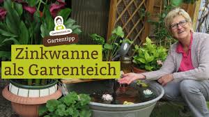 Was wird zum bepflanzen benötigt? Zinkwanne Als Gartenteich Upcycling Und Gartendeko Alte Zinkwanne Im Garten Verwenden Youtube
