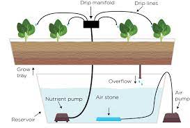 Hydroponic Drip System Explained Trees Com