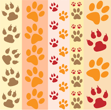 Best desktop wallpapers, full hd backgrounds. Paw Prints Fun Wallpaper Free Stock Photo Public Domain Pictures