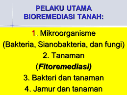 Hasil gambar untuk bioremediasi tanah