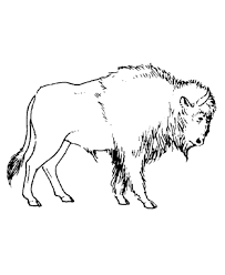Check spelling or type a new query. Big Coloring Pages Of Animals Wild Animal Coloring Pages Large Hairy Bison Coloring Page Coloring Pictures Of Animals Animal Coloring Pages Coloring Pages