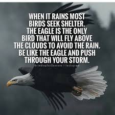 Be Like The Eagle And Push Through The Storm Life Quotes Quotes Quote Life Quotes And Sayings Storm Quotes Warrior Quotes Eagles Quotes