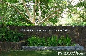 Foster Botanical Garden Oahu Botanical Gardens Educational Garden Botanical