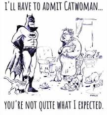 I Do Not Think That Means What You Think It Means Hahaha Batman Catwoman Catlady Funny Dccomics Oops Waitaminute Funny Cartoons Funny Haha Funny
