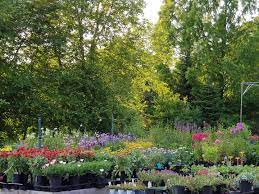 Pharo Garden Centre Home Facebook