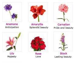 Meaning Of Flowers Part 3 Flower Meanings Diy Wedding Flowers Unique Wedding Flowers