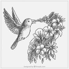 Desenho Lindo Passaro Com Flores Vetor Gratis Como desenhar, dicas, técnicas e tutoriais para aprender desenho artístico, do mangá ao estilo clássico e o desenho realístico. desenho lindo passaro com flores