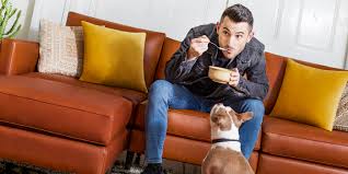 We did not find results for: Dogs Leather Couches Yes You Can Have Both Allform