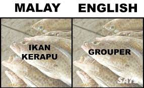 Tra, fish, crabmeat, kee fish, ikan duri, dory fish, unga fish, ikan patin. Pin On Education Language
