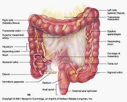 Typically, heartburn could cause painful signs just like a coronary heart assault. What Causes A Pulsating Feeling Under The Left Rib Cage Quora