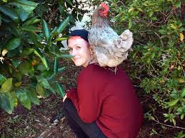 Moving From US to Mexico to Japan in 3 Years: Why We Choose Japan