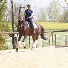 Sehen sie hier den lauf von dorothee schneider auf ihrem pferd showtime olympia: Einzelunterricht Mit Annick Todten Am 24 25 April Pferdefreunde Wendlingen E V