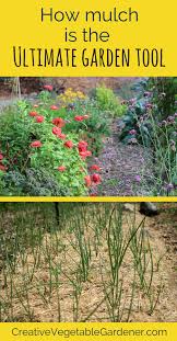 Why Mulch Is The Ultimate Garden Tool Creative Vegetable Gardener Garden Mulch Mulch For Vegetable Garden Garden Compost