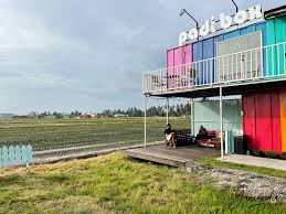 Tanaman padi memerlukan banyak hara n dibanding hara p ataupun k. Review Dan Sambutan Birthday Iman Di Homestay Padi Box