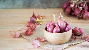 We did not find results for: 8 Cara Mengobati Flu Pada Bayi Dengan Bawang Merah Orami