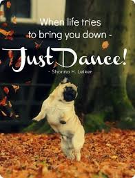 Pet Health Network Dance Quotes Inspirational Just Dance Dance Quotes