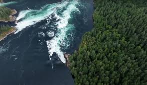 Hayden Greene's Fan Favorites-Top Nude Content