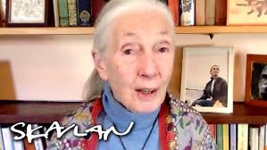 Dr. Jane Goodall: "Every animal is an individual."