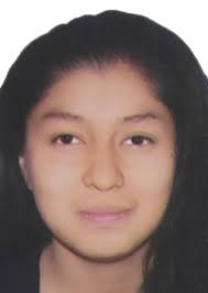 Propiedades de Otorongos Elecciones 2022