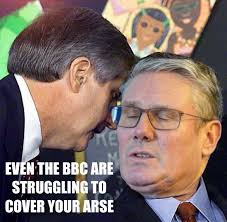 It's so hot today, just saw a bird blow