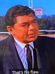 Claude Akins & Greg Evigan in BJ & The Bear.