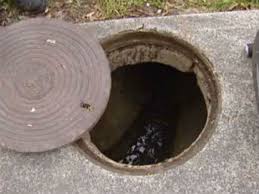 The act of taking things/food items, esp multiples. Manual Scavenging Is Illegal But Still Persists Oneindia News