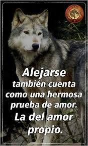 Quierete Y Respetate Frases De Lobos Frases Frases De Fuerza