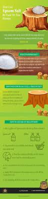 Different methods for how to use a blending stump. How To Kill A Tree Stump Tree Stump Killer Guide