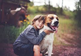 These puppies playing with a toddler will make your day. Service Animals For Children With Special Needs