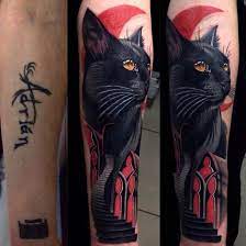 Pin On Cats Meow