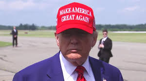 Family mourns 80-year-old grandmother killed by fallen tree during storm