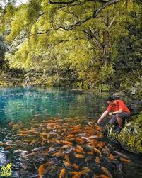 Situ Cicerem Kuningan Telaga Biru Yang Cantik Dan Menyegarkan Mata Yuk Akhir Pekan Ke Sana Pemandangan Biru Mengagumkan