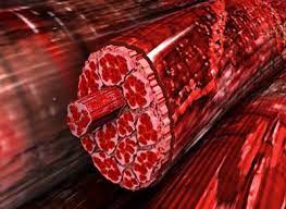 Hipertrofi Nedir ? - hipertrofi.com