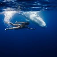 60+ "Lananna" profiles