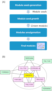 A Brief Of Hunter A The Flowchart Of Hunter B An