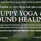 Puppy Yoga & Sound Healing @ BODYWELLE I Go Greek event image